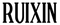 ruixin pro